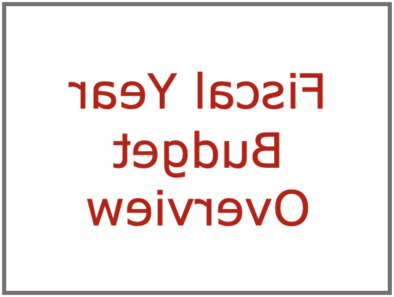 Fiscal Year Budget Overview Link